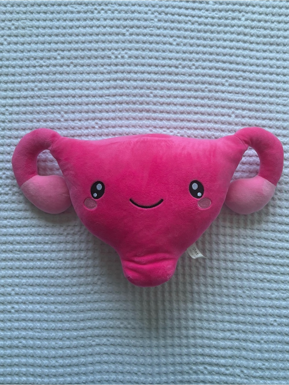 Nerdbugs Originals Uterus Plush Organ Pink Stuffed Anatomy Hysterectomy Gift OS